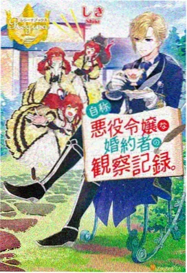 奇幻战斗番剧
